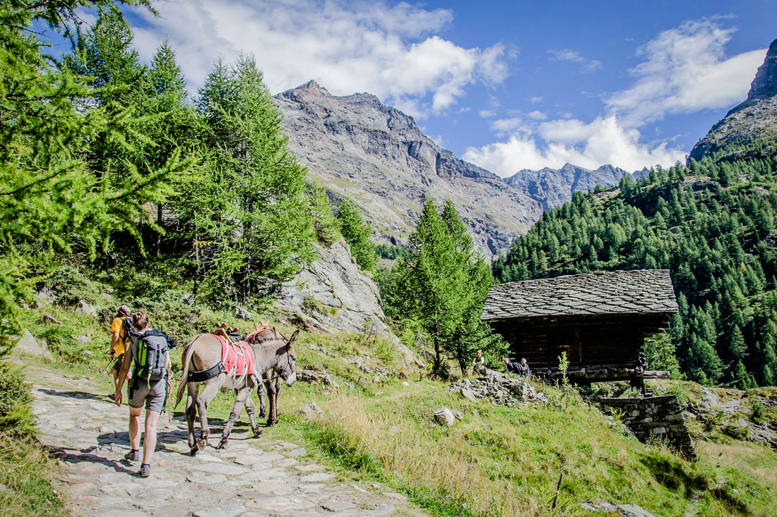 Esprisarvadzo, Avventura Valle d'Aosta, Escursioni Valle d'Aosta, escursione con gli asini
